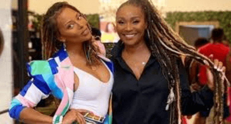 Eva Marcille Twin Sister