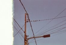 support line for assistance