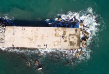 gambling platform insights provided