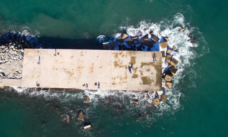 gambling platform insights provided