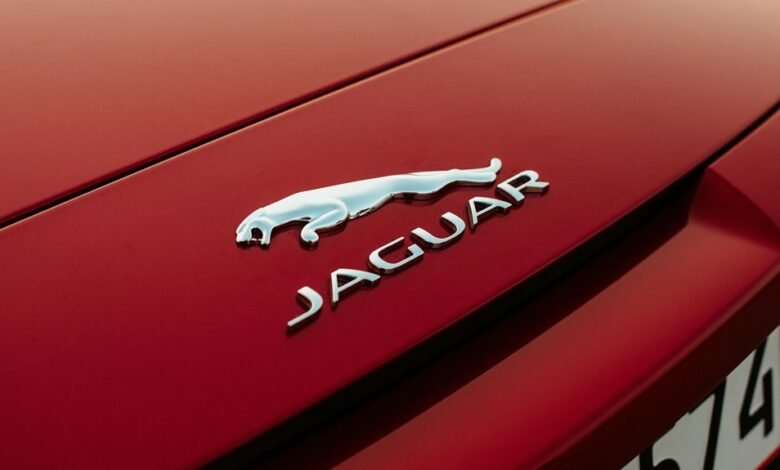 morzqux waterproof product reviews