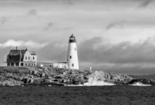 nightshade paralysis overview guide