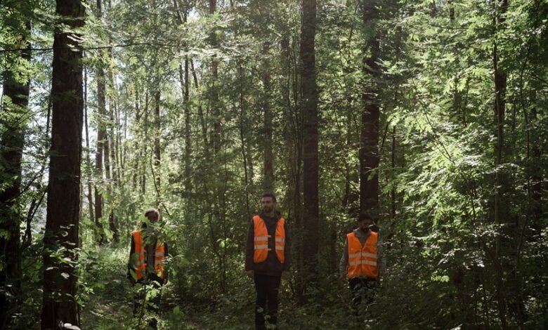 business environment monitoring overview