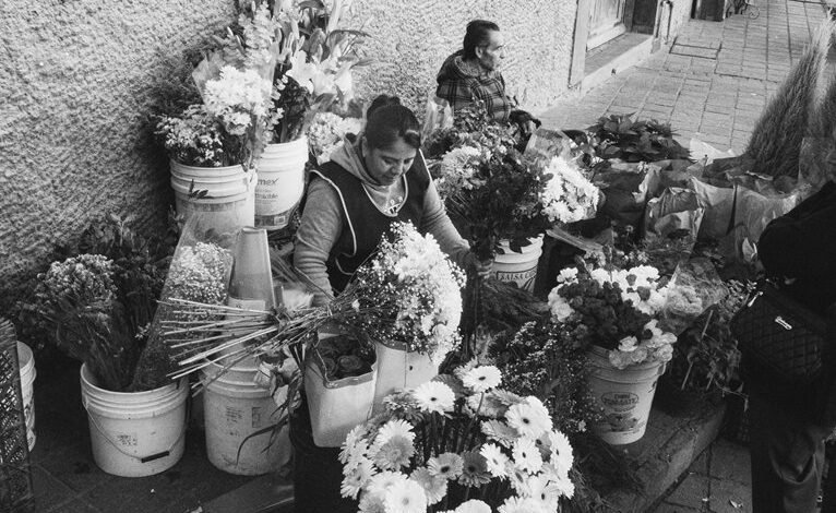 market operations snapshot overview